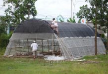 Cách trồng nấm Cách trồng nấm - 1