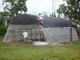 Cách trồng nấm - 1