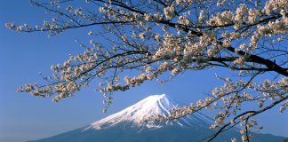 Học bổng ngành quản trị kinh doanh, hành chính công tại Nhật Bản - 1