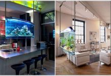 8 ý tưởng bể cá độc đáo cho nhà hiện đại - 5