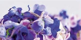 Hướng dẫn cách trang trí lọ hoa đẹp ngày 8/3 - 2