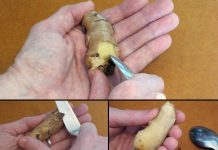 Mẹo gọt rau, củ, quả cực dễ meo-got-rau-cu-cuc-de-lamsao.com-1