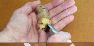 meo-got-rau-cu-cuc-de-lamsao.com-1