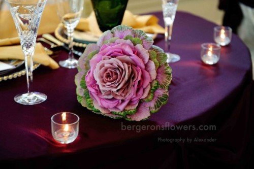 Các cách bó hoa cưới đẹp mang nhiều màu sắc khác nhau 12