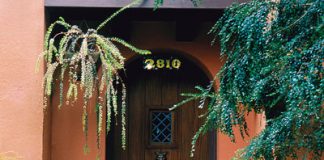 Hoa đẹp bên hiên nhà - Archi