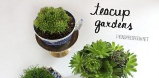 10 ý tưởng tái sử dụng đồ cũ trong nhà - 1