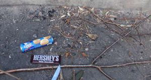 Cách nướng bánh mì cực “cool” khi cắm trại - 1