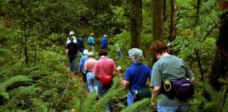 Cách ngăn côn trùng đốt khi đi du lịch dịp 30/4 – 1/5-1