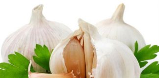 Cách đuổi muỗi an toàn với loại cây 9 quen thuộc 7