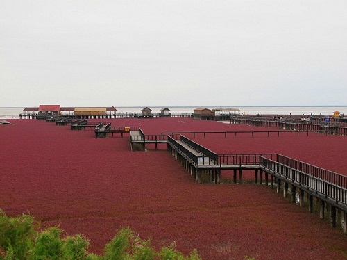 Ngắm thiên đường biển Đỏ ở Trung Quốc, Đi đâu - Xem gì, du lch trung quoc, du lich, dat ngap man, bien do