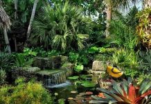 10 bước tạo khu vườn nhiệt đới trong nhà biệt thự - 1