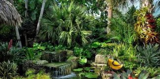 10 bước tạo khu vườn nhiệt đới trong nhà biệt thự - 1