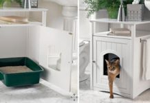 Làm sao để nhà vẫn sạch khi có thú cưng Làm sao để nhà vẫn sạch khi có thú cưng - 1