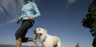 Lợi ích khi nuôi thú cưng trong nhà