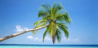  Thiên đường nhiệt đời Maldives- Điểm đến tuyệt diệu - 1