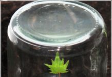 Những kinh nghiệm tuyệt vời để 