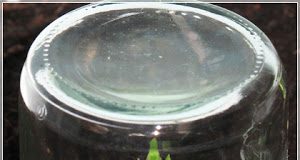 Những kinh nghiệm tuyệt vời để 