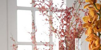 Các loại cây trồng trong nước vừa đẹp lại vừa ý nghĩa 1