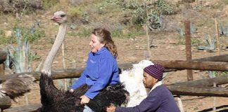 7 tour du lịch kỳ lạ không thể bỏ qua - 1