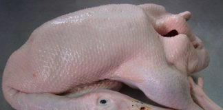 Cách làm vịt rang riềng ngon hết chỗ chê cho tiệc tất niên - 1