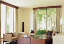 Bài trí cây xanh trong nhà một cách khoa học 