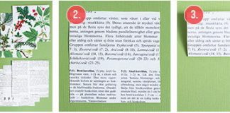 Tự gấp ngôi sao trang trí nhà từ giấy dễ thương - 1