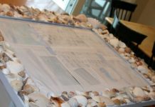 Trang trí nhà tuyệt đẹp với những tặng phẩm của biển Trang trí nhà tuyệt đẹp với những tặng phẩm của biển 1