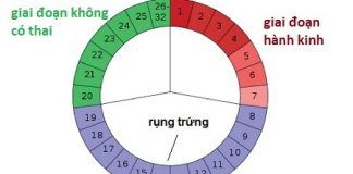 Hướng dẫn các biện pháp tránh thai tự nhiên hiệu quả