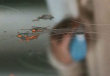 Mẹo giúp vệ sinh bếp ga sạch sẽ, nhanh chóng Vệ sinh bếp ga sạch sẽ, nhanh chóng - 1