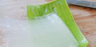 Cách làm thạch nha đam tại nhà ngon mà không sợ bị nhớt 1