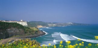 Đảo Jeju - thiên đường biển và núi ở Hàn Quốc - 1