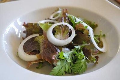Salad-tataki-cá-ngừ-món-ăn-ngon-cho-bữa-trưa-hè-nắng-6