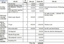 Tuyệt chiêu tiêu Tết với mức 3-6 triệu đồng cho gia đình trẻ Chi tiêu dịp tết