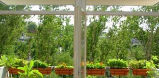 Làm đẹp ban công nhà bạn theo phong thủy - Archi