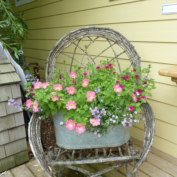 Biến ghế cũ thành bồn hoa rực rỡ | ảnh 5