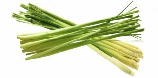 Cách đuổi muỗi an toàn với 9 loại cây quen thuộc 1