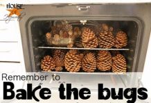 Khéo tay trang trí nhà cửa dịp Giáng sinh  - 1