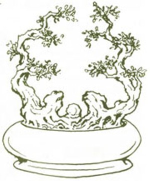 Chia sẻ một số thế bonsai đẹp từ nghệ thuật bonsai cổ Việt Nam 3