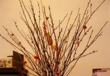 Bí quyết cắm hoa đào ngày Tết theo phong thủy Bí quyết cắm hoa đào ngày Tết theo phong thủy - 1