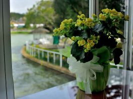 Những điều cấm kỵ khi đặt bình hoa trong phòng khách 1