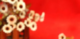 thịt vịt kho măng