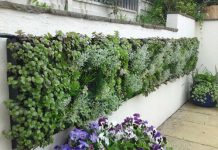 Cách làm vườn độc đáo trên tường Nhà sành điệu: Vườn trên tường - 1