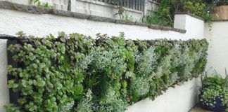 Nhà sành điệu: Vườn trên tường - 1