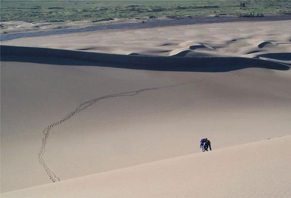 Star Dune cao khoảng 230m.