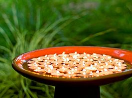 Hướng dẫn trang trí đèn cho vườn yêu  - 1