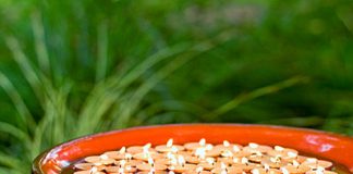 Hướng dẫn trang trí đèn cho vườn yêu  - 1