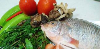 Cá rô phi hấp nóng hổi ngày mưa - 1