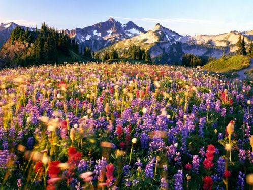 10 công viên quốc gia đẹp nhất nước Mỹ