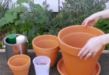 Hướng dẫn cách làm chậu cây 3 tầng cực đơn giản 1