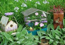 Ngoại thất ấn tượng nhờ... chuồng chim